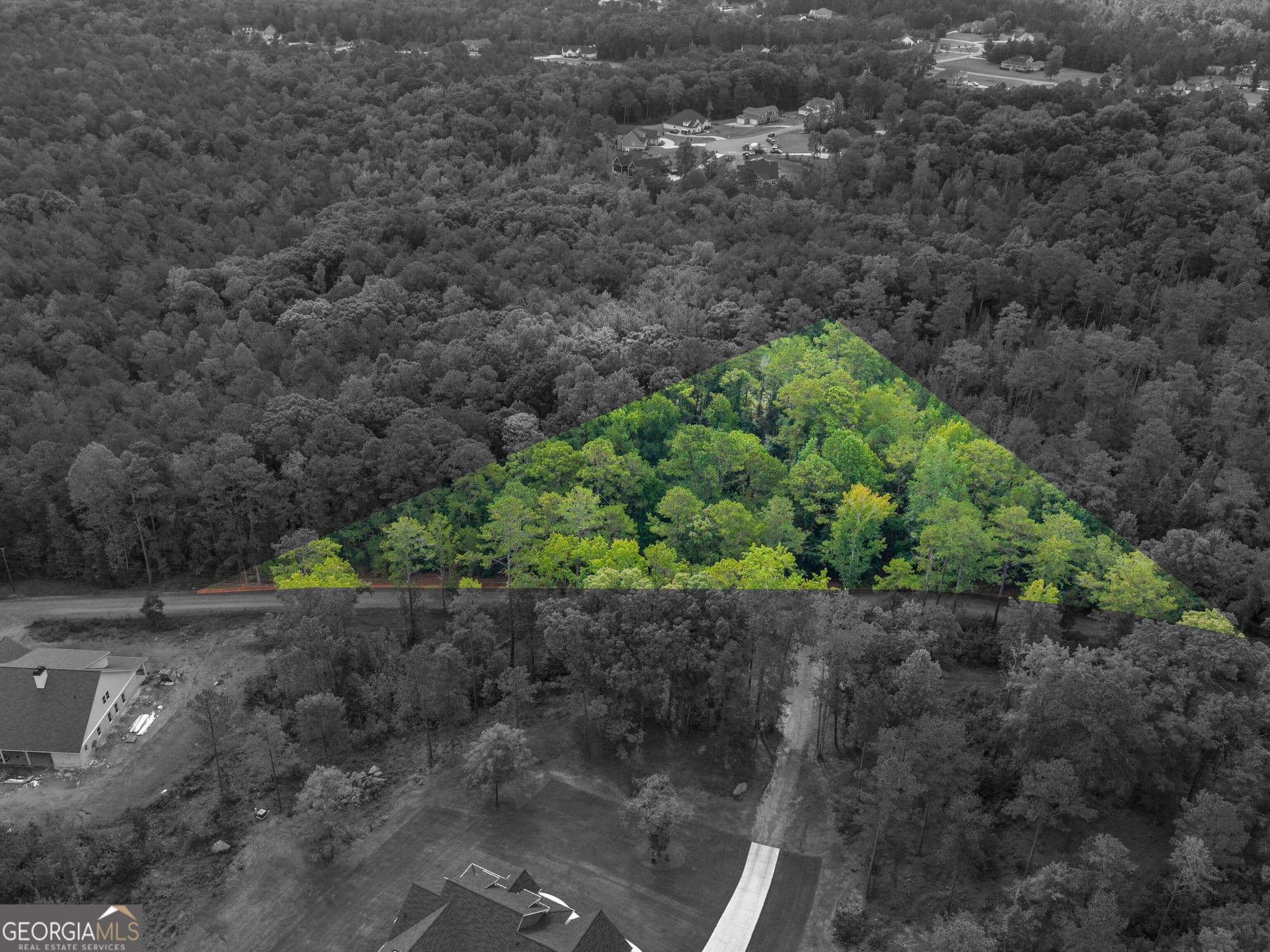 agriculture for sale at 0 Montpelier Springs Road, Forsyth, GA 31029 — photo 3