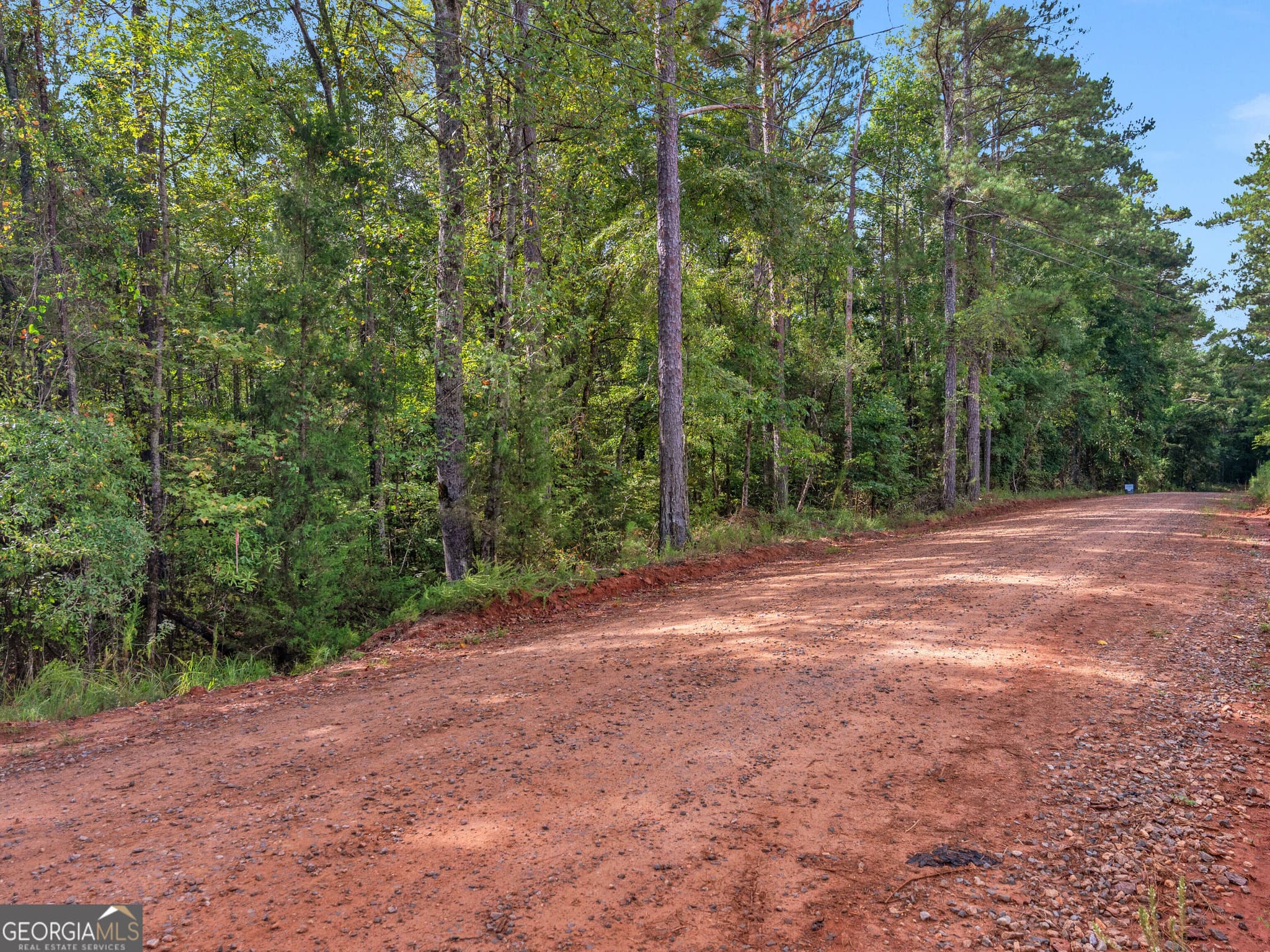 agriculture for sale at 0 Montpelier Springs Road, Forsyth, GA 31029 — photo 1 of 11
