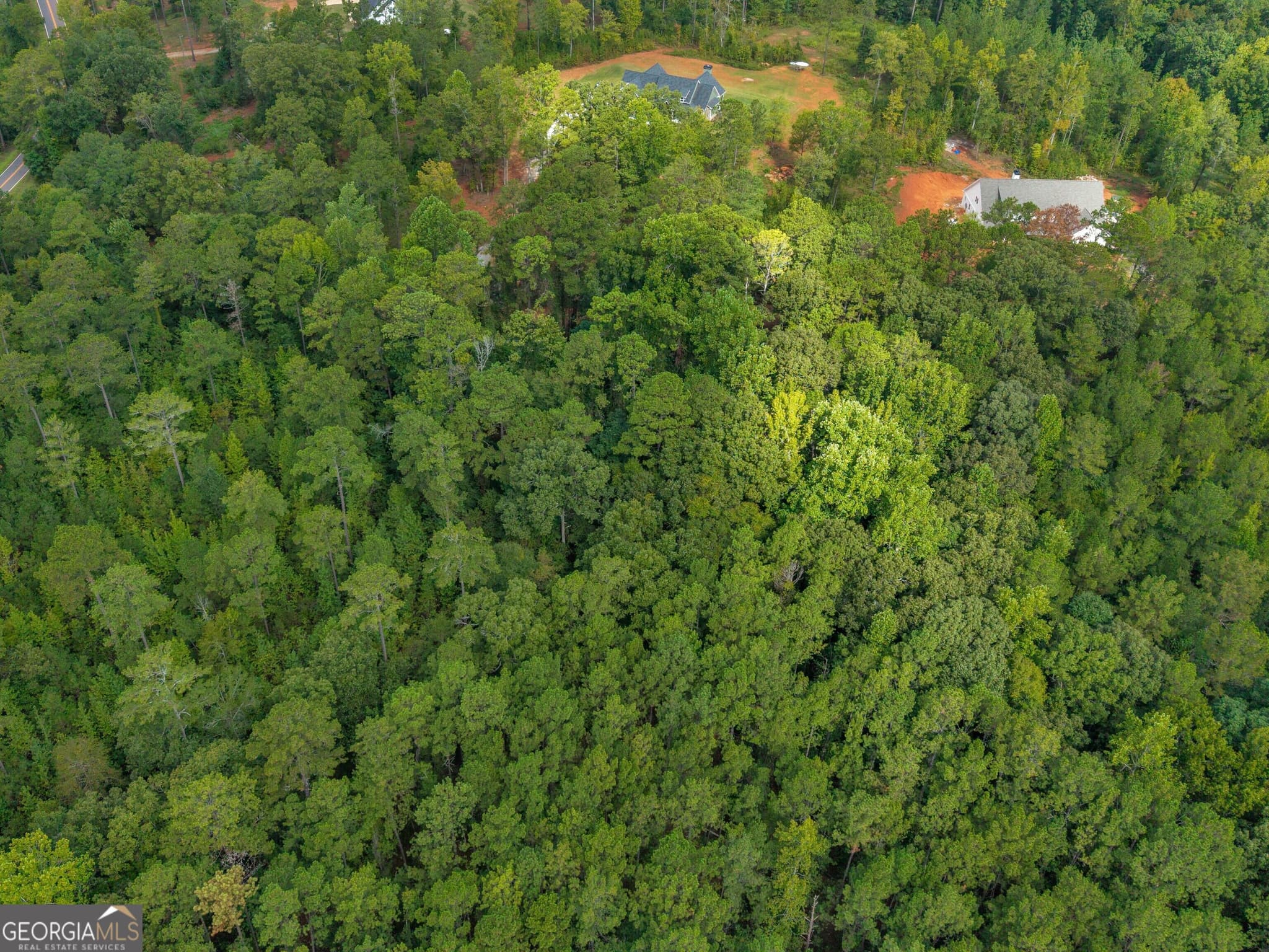 agriculture for sale at 0 Montpelier Springs Road, Forsyth, GA 31029 — photo 5