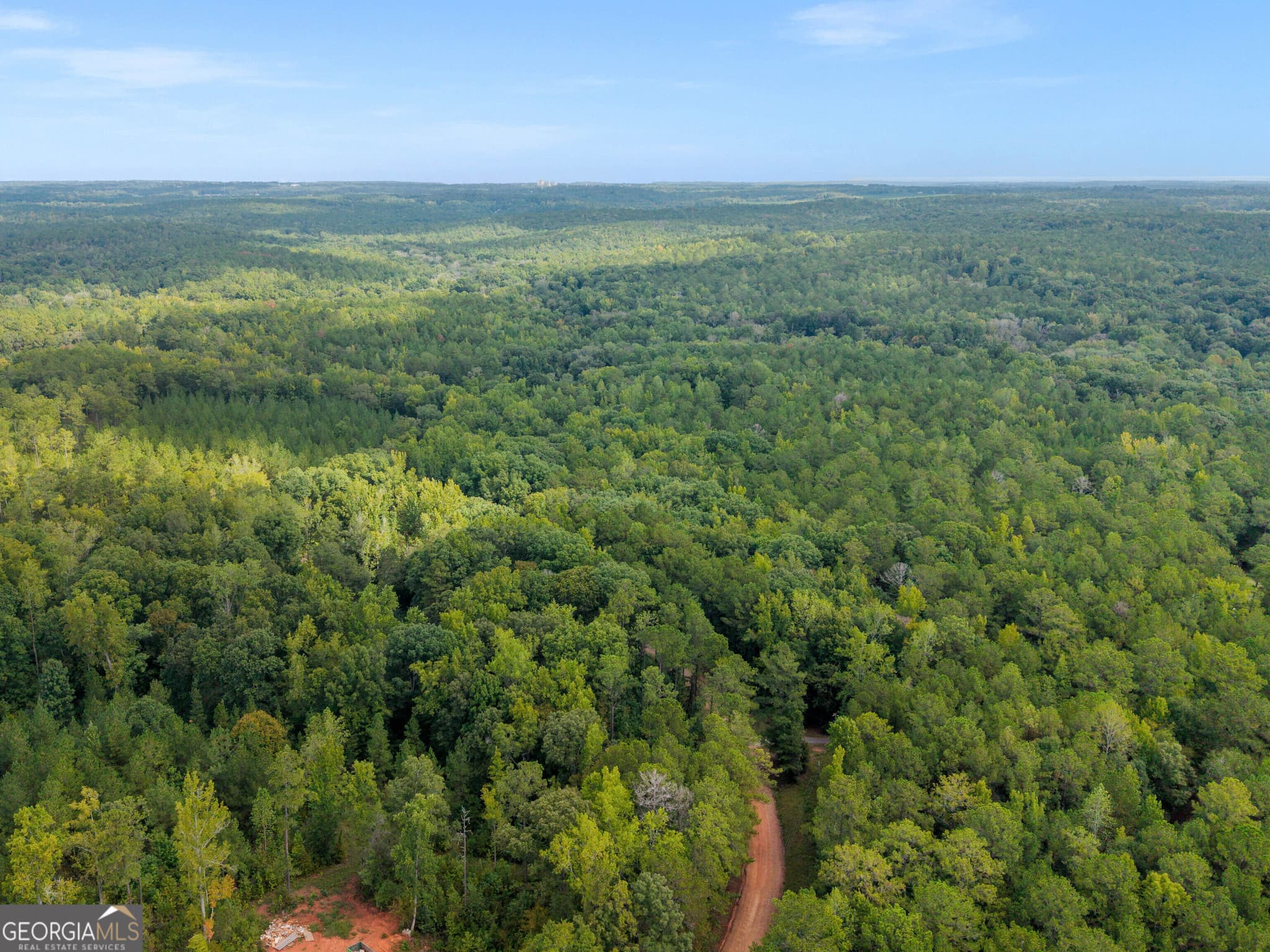 agriculture for sale at 0 Montpelier Springs Road, Forsyth, GA 31029 — photo 10