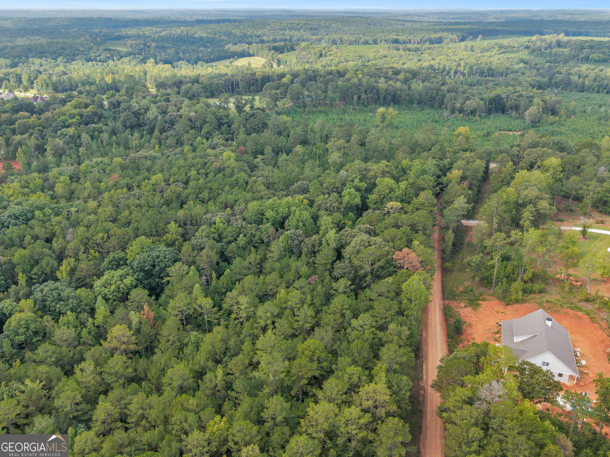 agriculture for sale at 0 Montpelier Springs Road, Forsyth, GA 31029 — photo 8