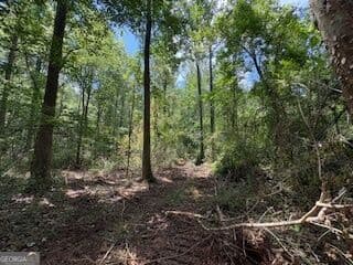 residential lot for sale at LOT 17 Smith Road, Thomaston, GA 30286 — photo 1 of 2