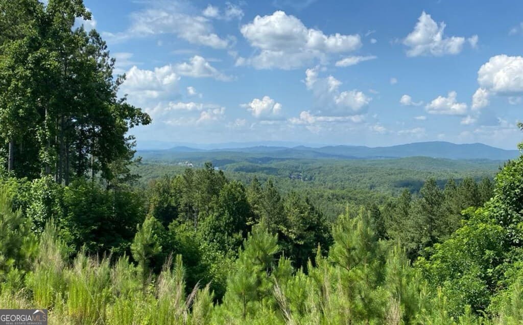 residential lot for sale at LOT 251 Ridge Pointe Way, Blairsville, GA 30512 — photo 2