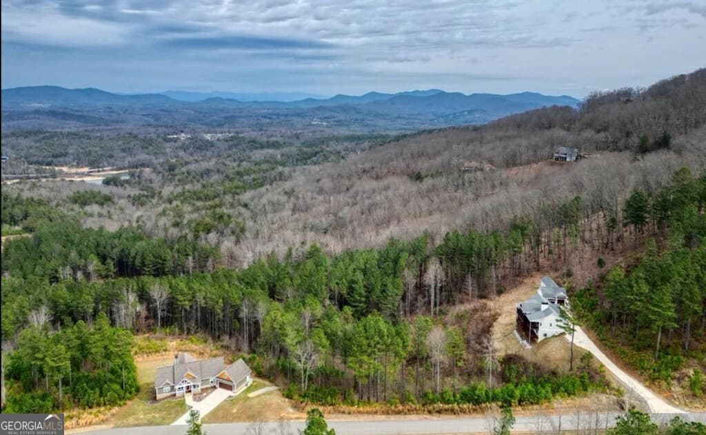 residential lot for sale at LOT 251 Ridge Pointe Way, Blairsville, GA 30512 — photo 6