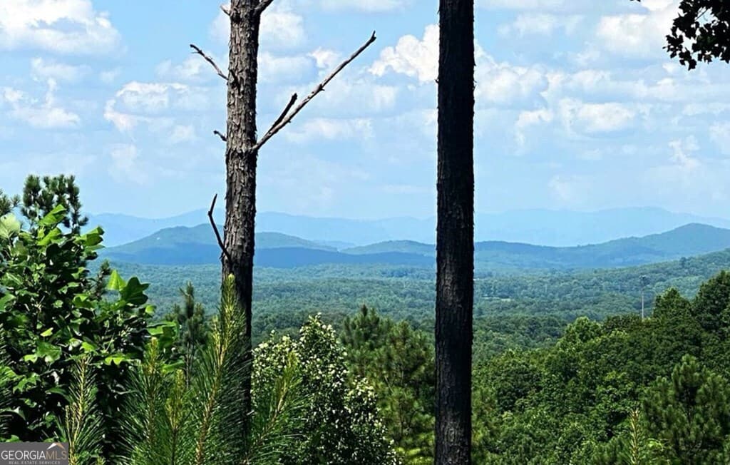 residential lot for sale at LOT 251 Ridge Pointe Way, Blairsville, GA 30512 — photo 3