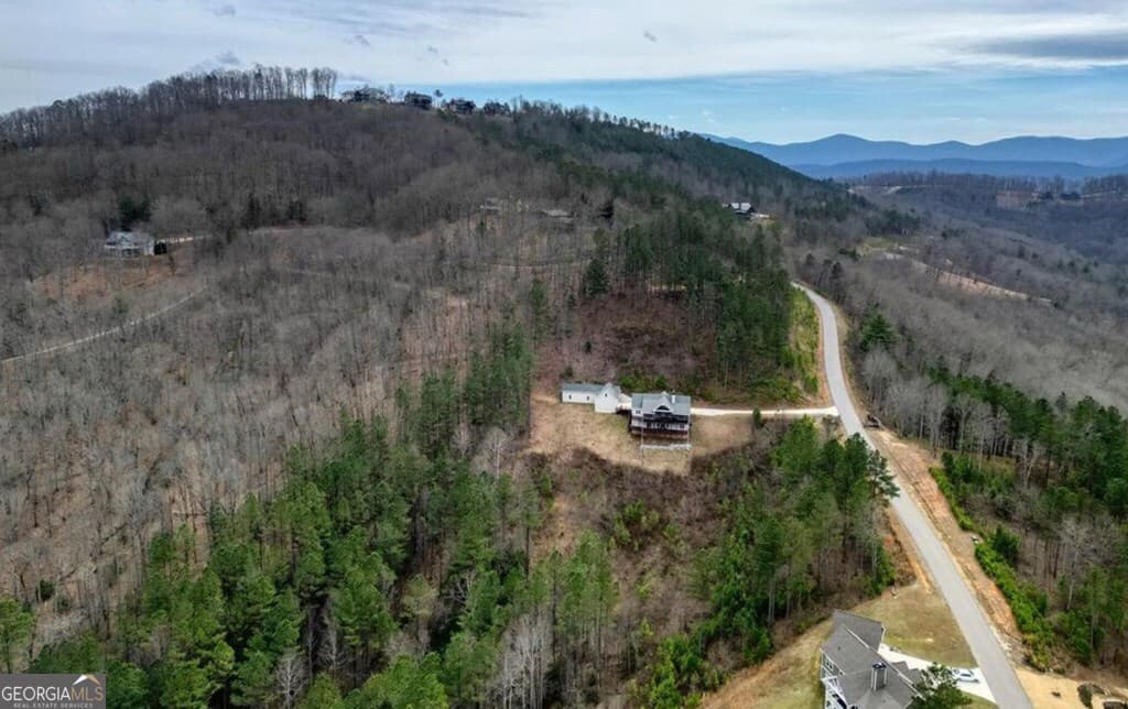 residential lot for sale at LOT 251 Ridge Pointe Way, Blairsville, GA 30512 — photo 9