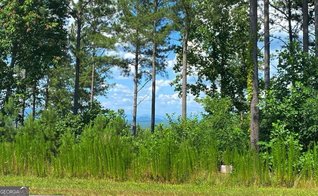 residential lot for sale at LOT 251 Ridge Pointe Way, Blairsville, GA 30512 — photo 4
