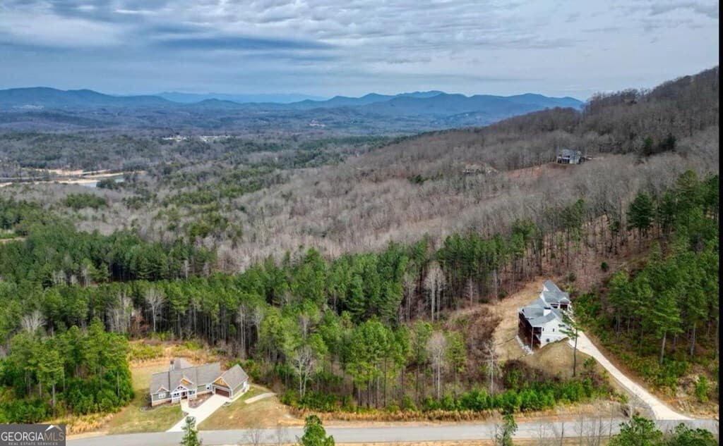 residential lot for sale at LOT 251 Ridge Pointe Way, Blairsville, GA 30512 — photo 8