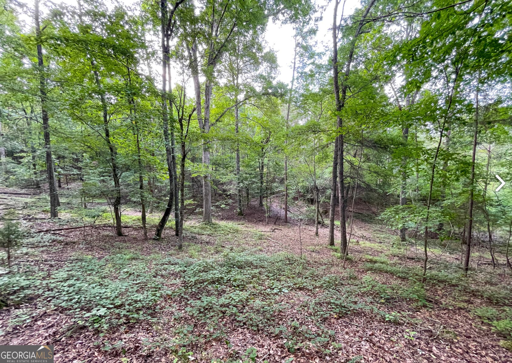 unimproved land for sale at 809 1/2 Probasco Street LOT 1 & 2: 31.93 AC, Lafayette, GA 30728 — photo 9