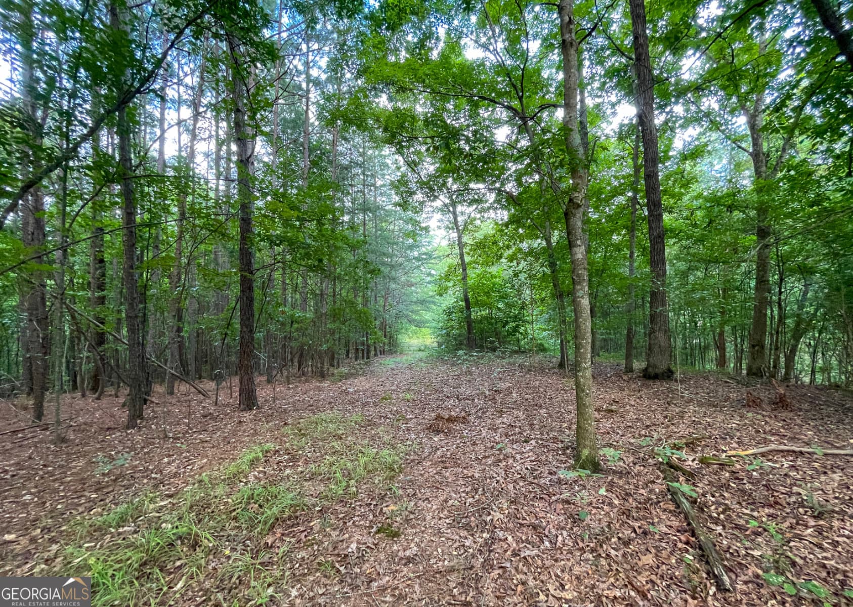 unimproved land for sale at 809 1/2 Probasco Street LOT 1 & 2: 31.93 AC, Lafayette, GA 30728 — photo 10