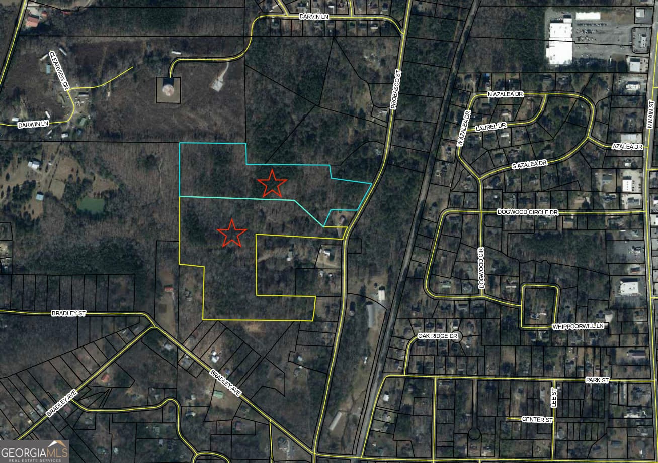 unimproved land for sale at 809 1/2 Probasco Street LOT 1 & 2: 31.93 AC, Lafayette, GA 30728 — photo 4
