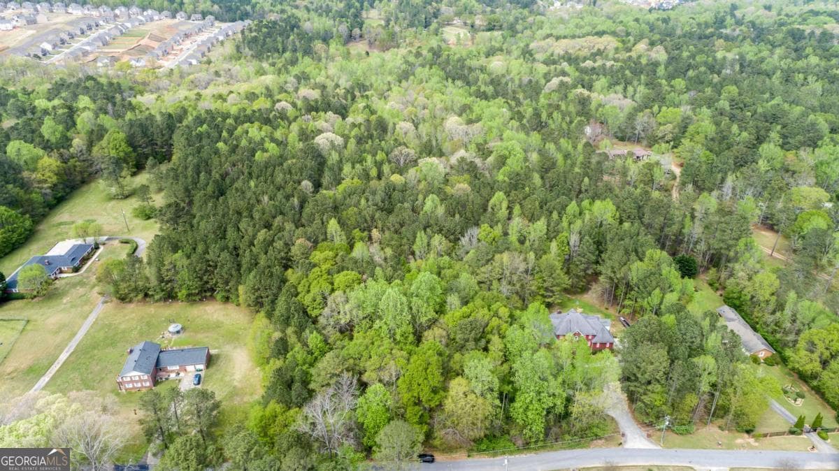 unimproved land for sale at 3607 Masters Road, Ellenwood, GA 30294 — photo 2