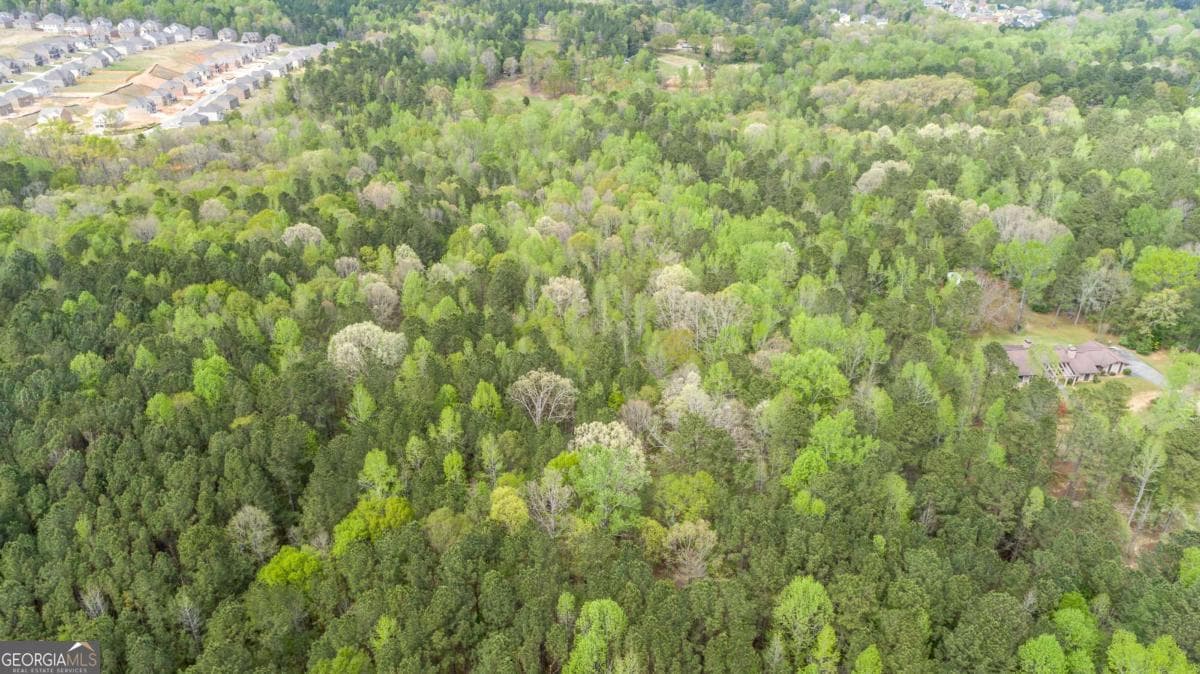 unimproved land for sale at 3607 Masters Road, Ellenwood, GA 30294 — photo 3