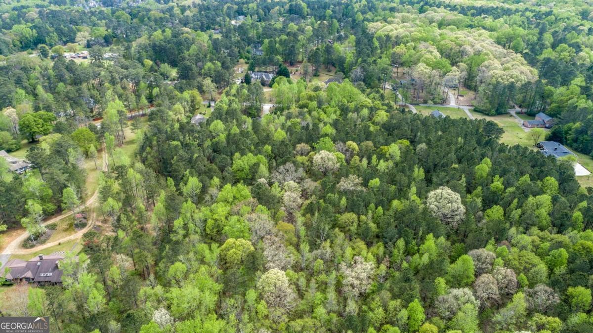 unimproved land for sale at 3607 Masters Road, Ellenwood, GA 30294 — photo 5