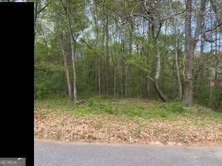 unimproved land for sale at 3607 Masters Road, Ellenwood, GA 30294 — photo 9