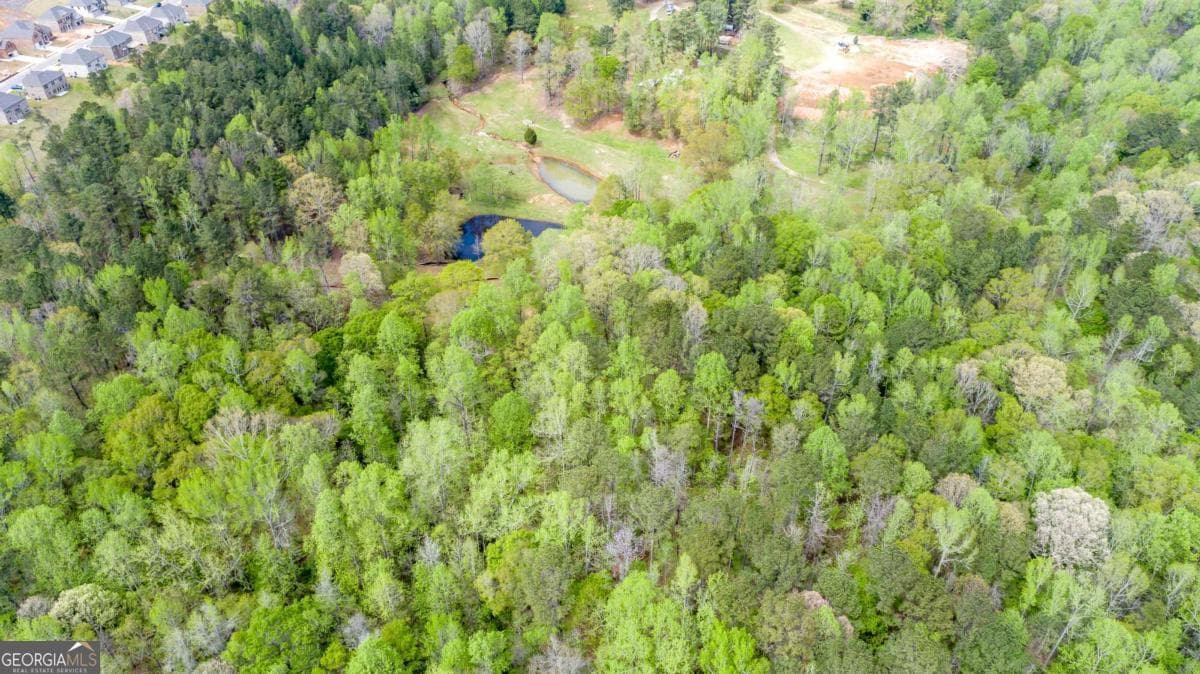 unimproved land for sale at 3607 Masters Road, Ellenwood, GA 30294 — photo 4
