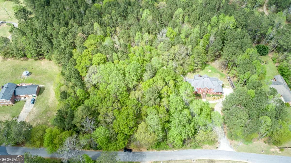 unimproved land for sale at 3607 Masters Road, Ellenwood, GA 30294 — photo 8