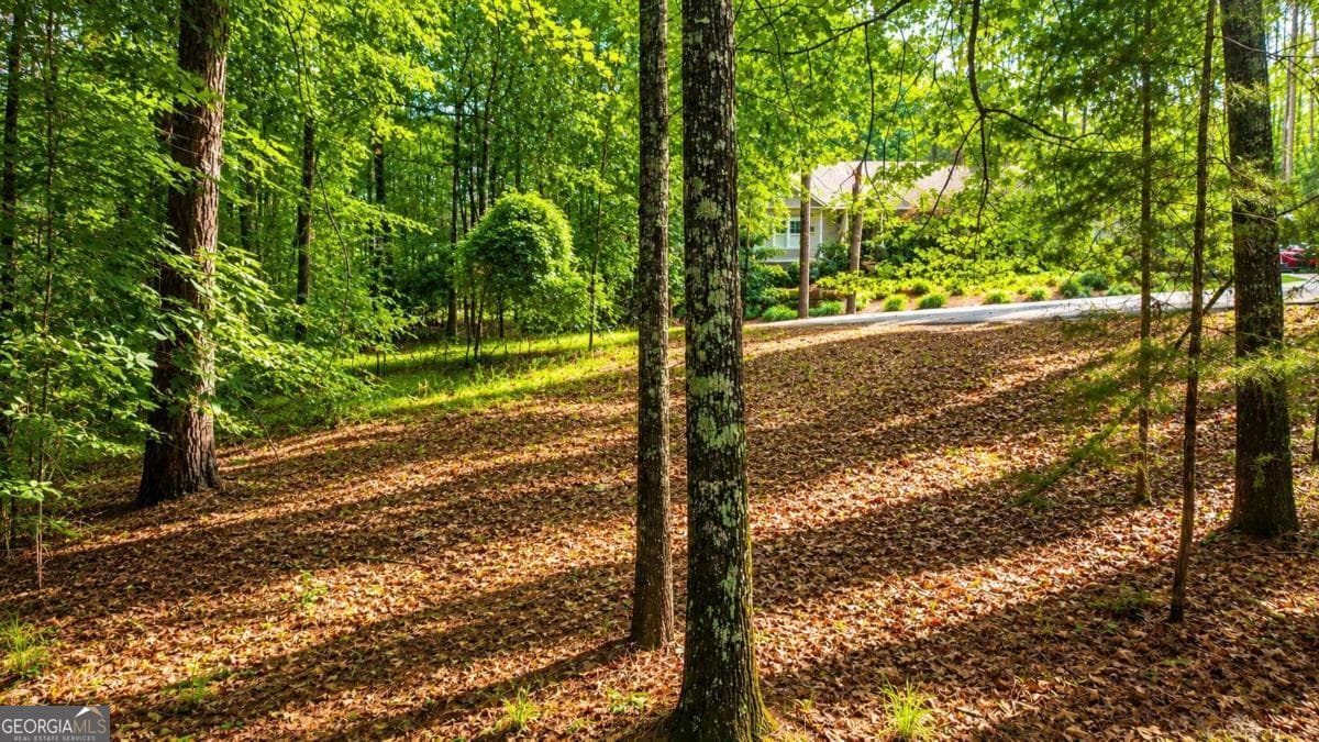 residential lot for sale at 1031 Anchor Bay Point, Greensboro, GA 30642 — photo 6