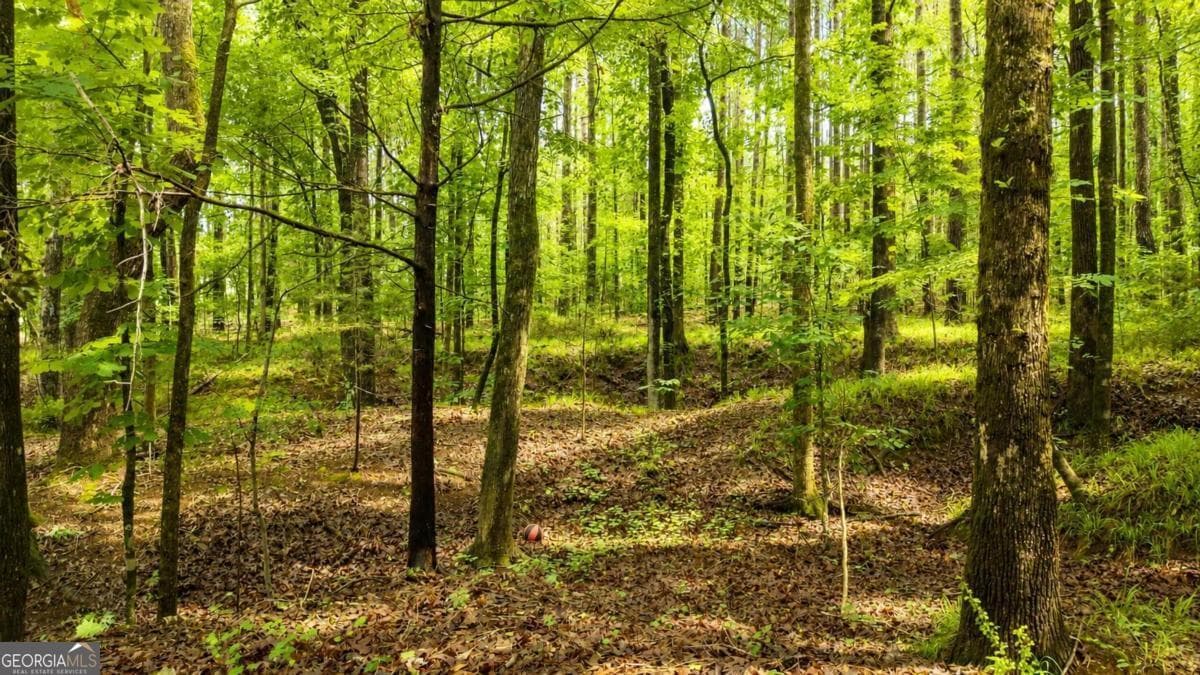 residential lot for sale at 1031 Anchor Bay Point, Greensboro, GA 30642 — photo 9
