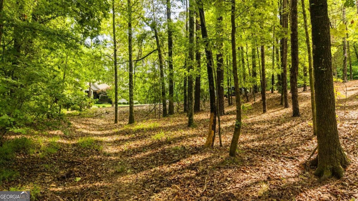 residential lot for sale at 1031 Anchor Bay Point, Greensboro, GA 30642 — photo 10