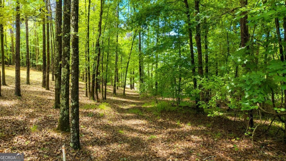 residential lot for sale at 1031 Anchor Bay Point, Greensboro, GA 30642 — photo 8
