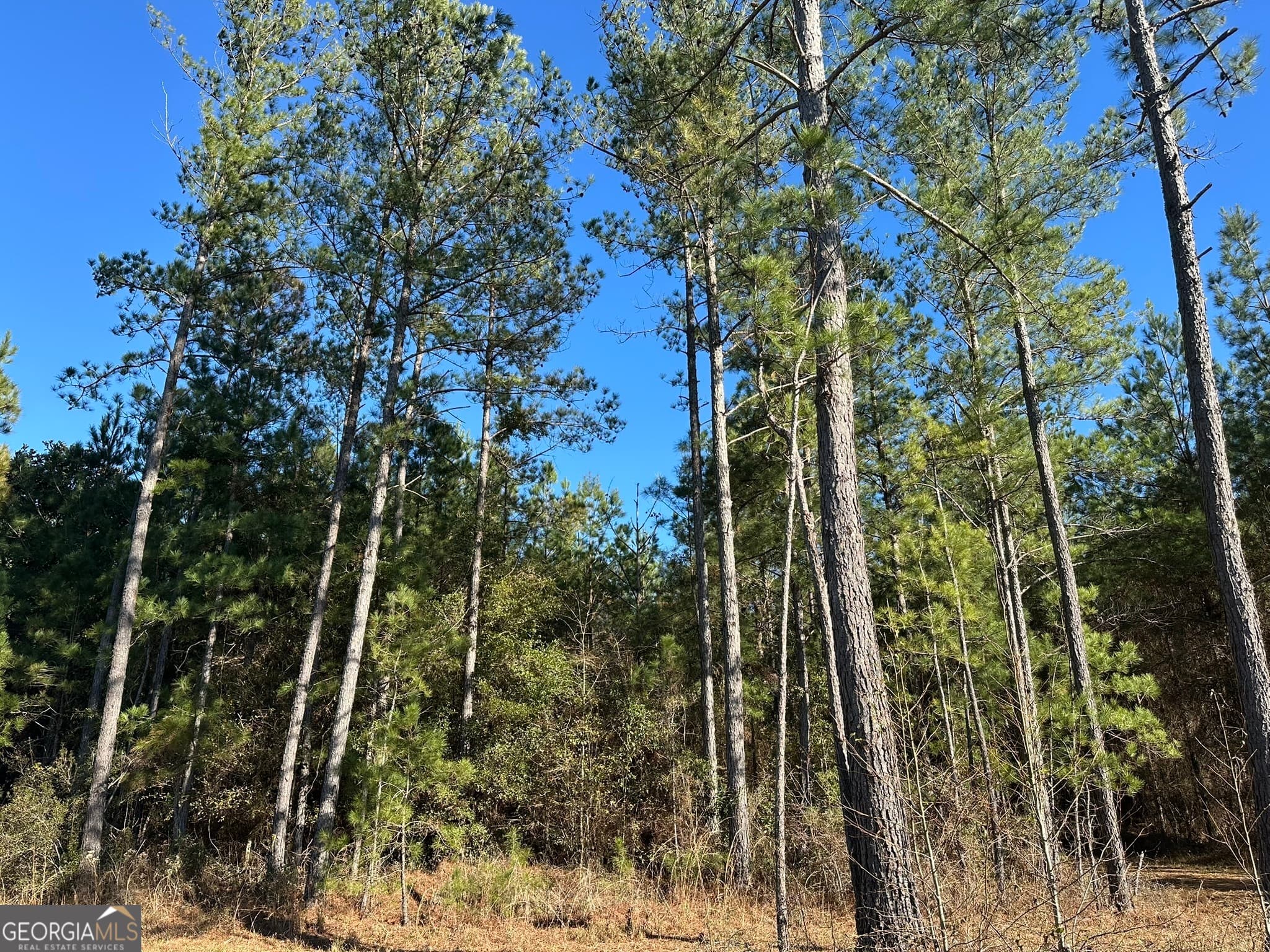 agriculture for sale at 014 Mt Zion Road, Gordon, AL 36343 — photo 6