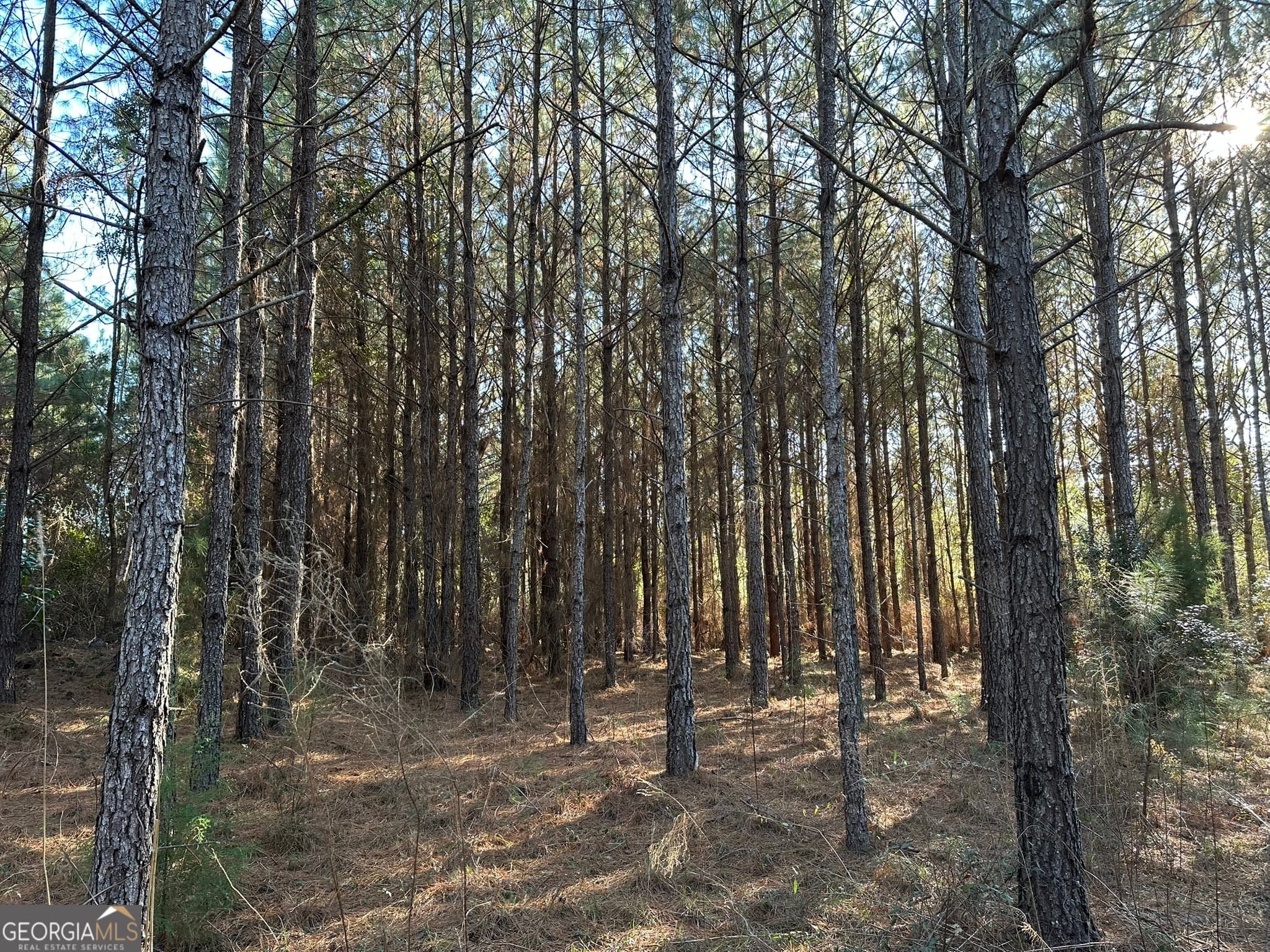agriculture for sale at 014 Mt Zion Road, Gordon, AL 36343 — photo 7
