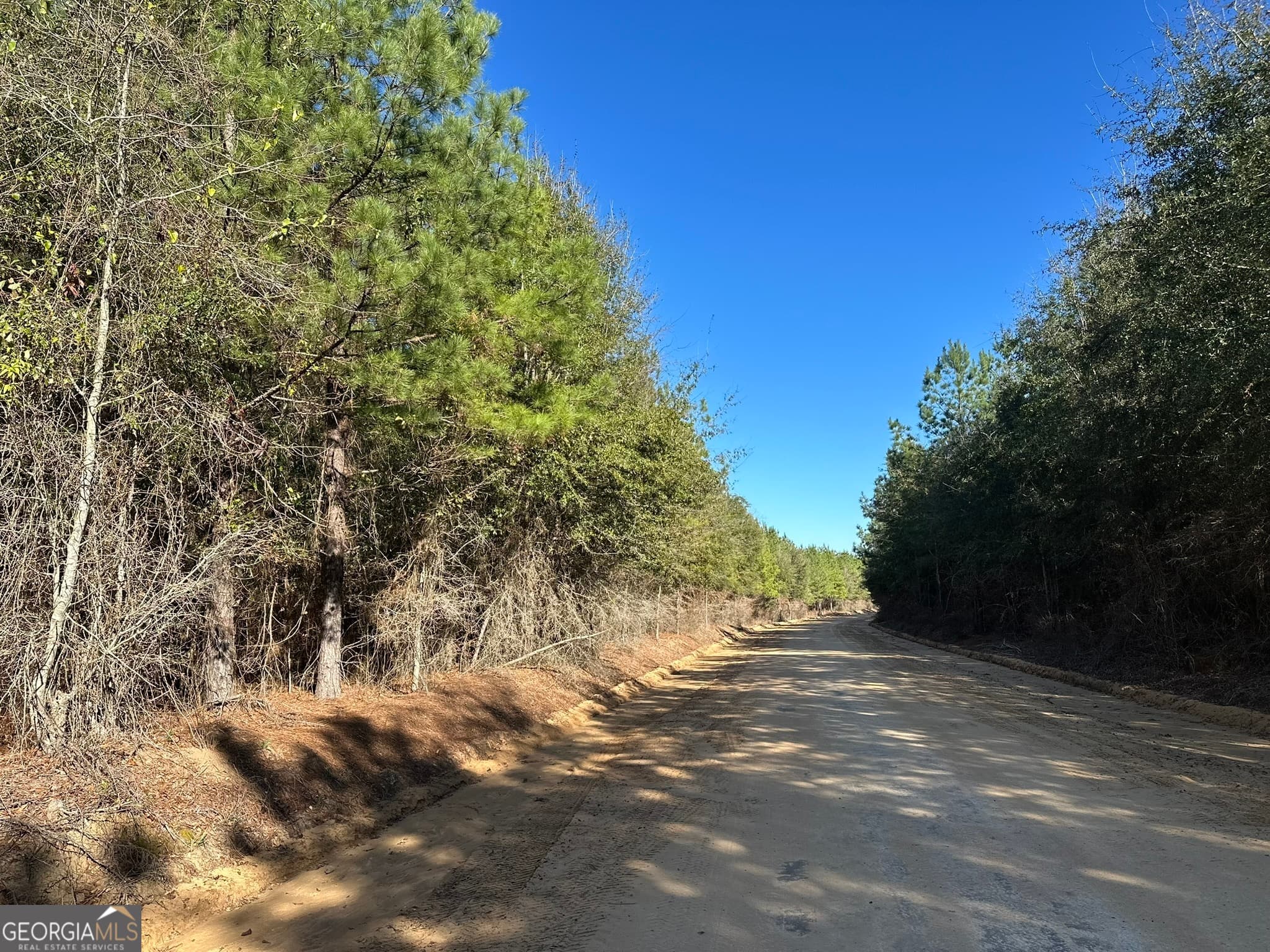 agriculture for sale at 014 Mt Zion Road, Gordon, AL 36343 — photo 3
