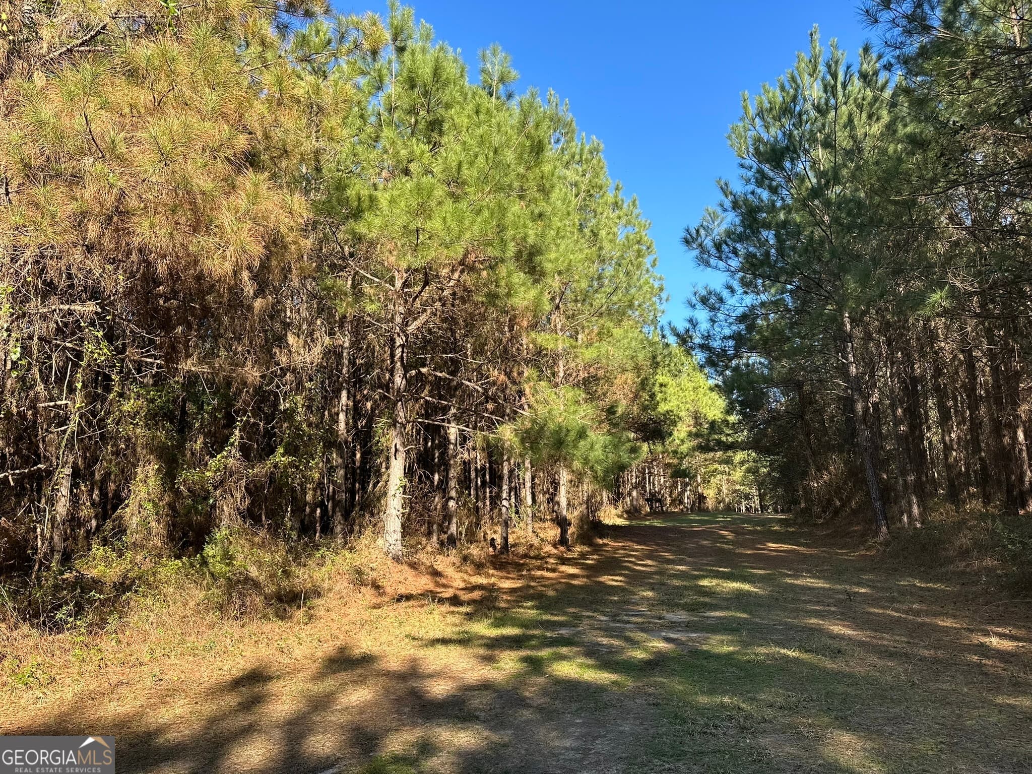 agriculture for sale at 014 Mt Zion Road, Gordon, AL 36343 — photo 1 of 7