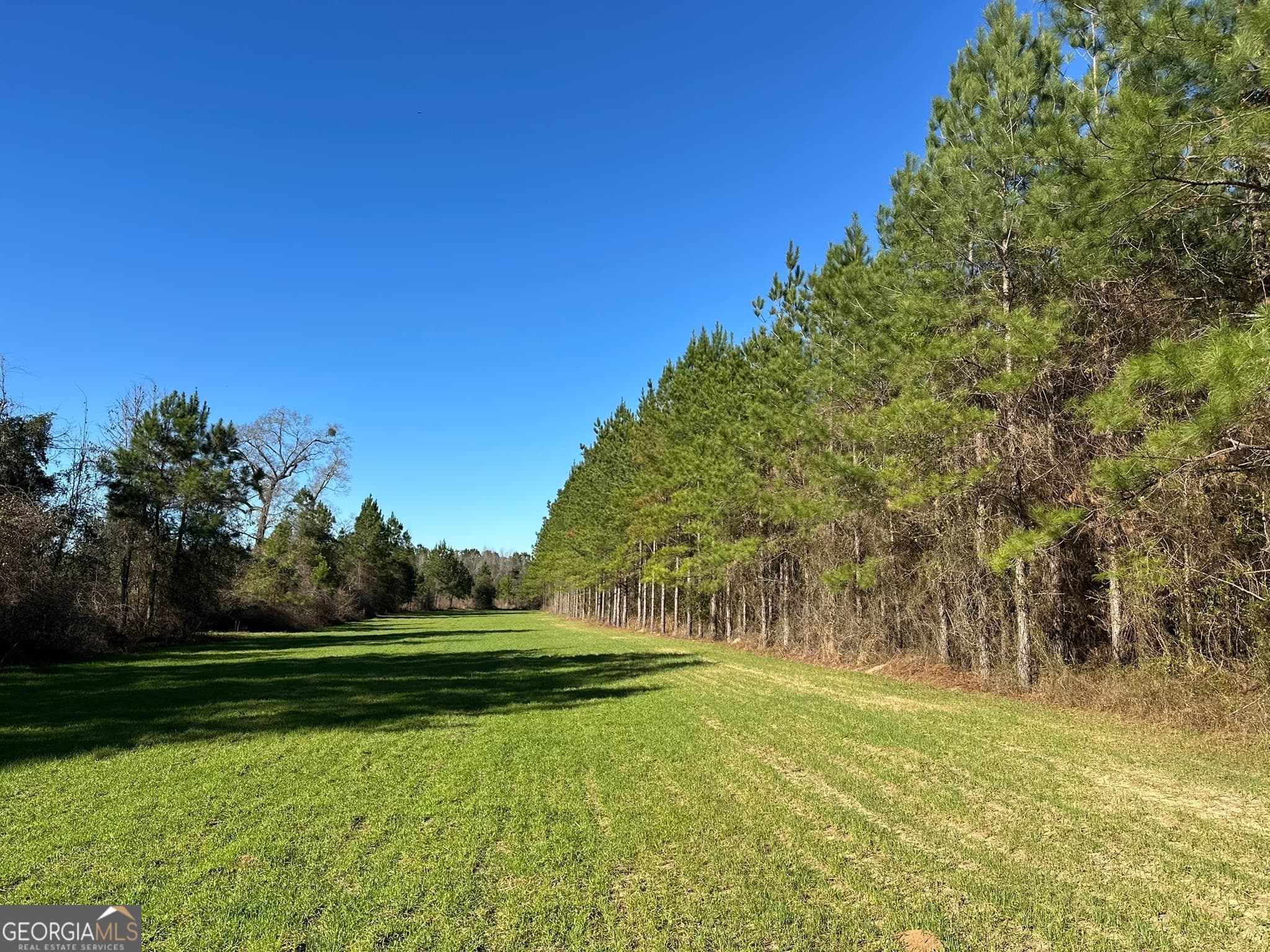 agriculture for sale at 014 Mt Zion Road, Gordon, AL 36343 — photo 4