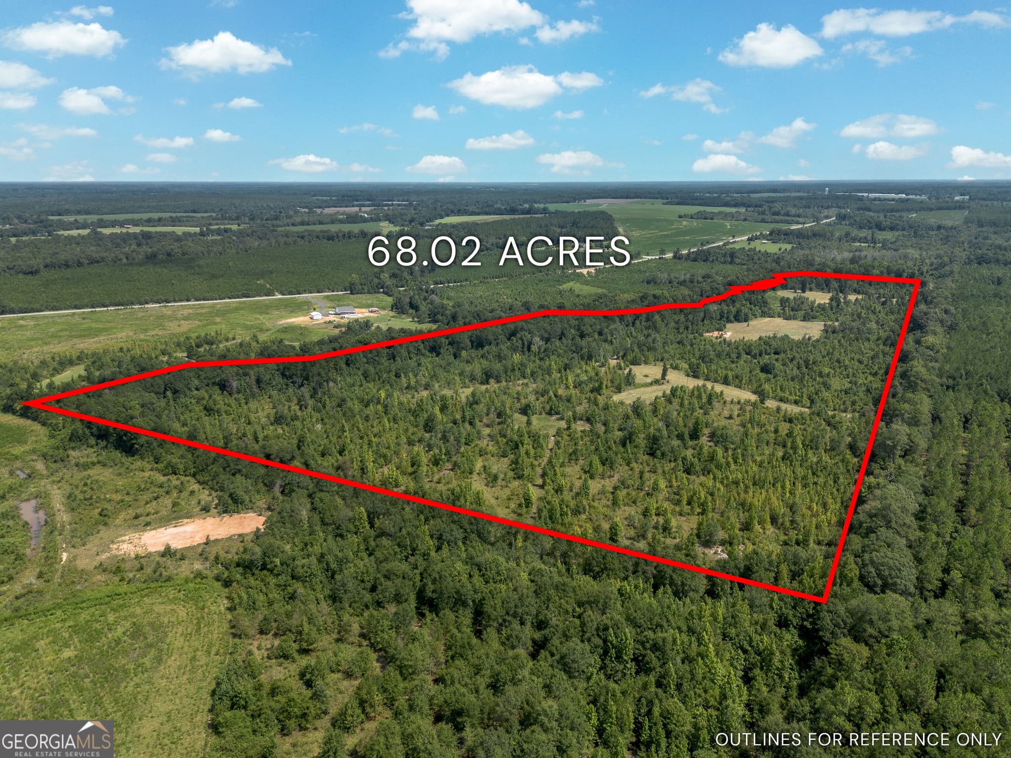 agriculture for sale at 0 Nicholson-Carr Road, Chester, GA 31012 — photo 2