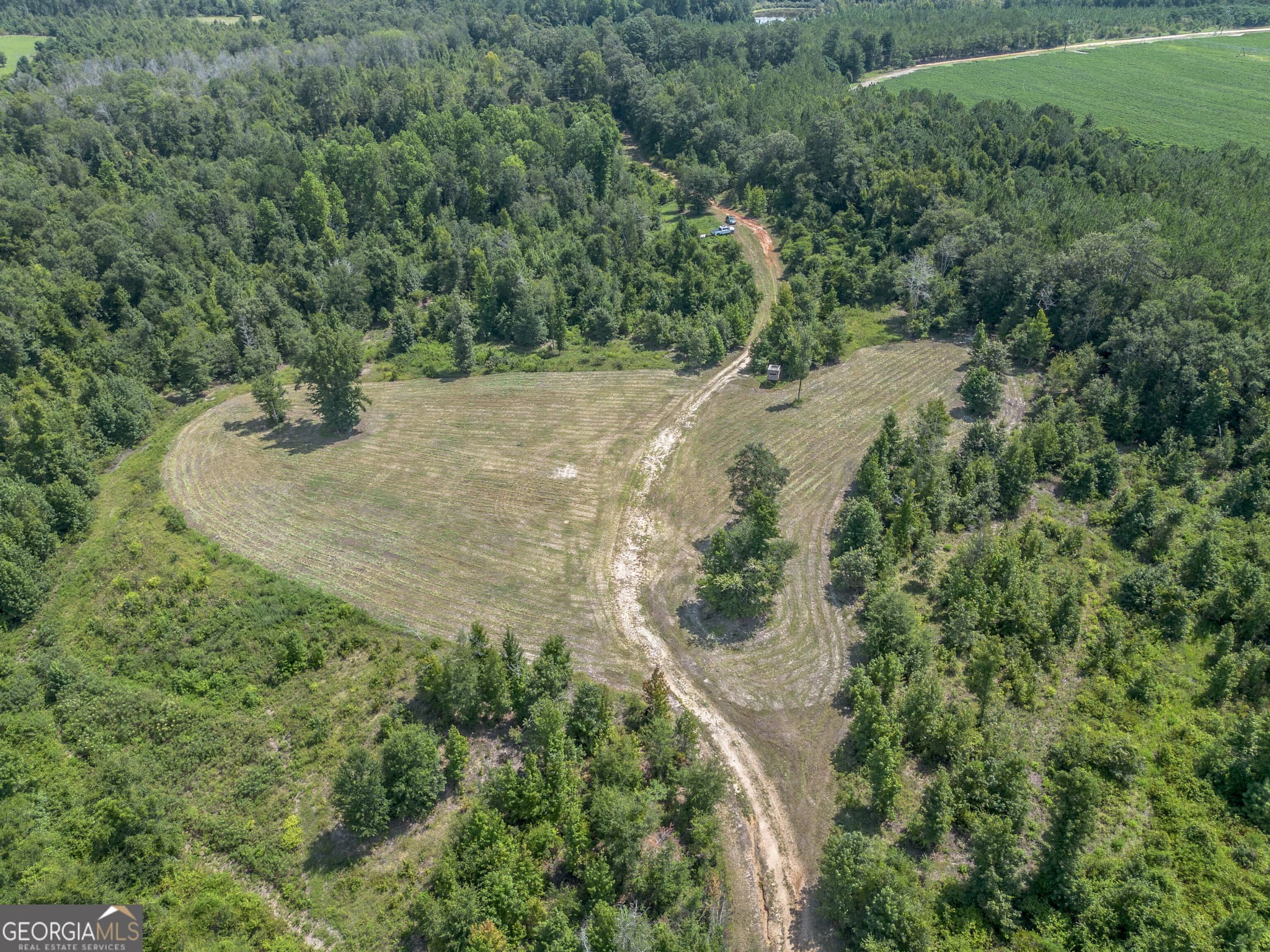 agriculture for sale at 0 Nicholson-Carr Road, Chester, GA 31012 — photo 6