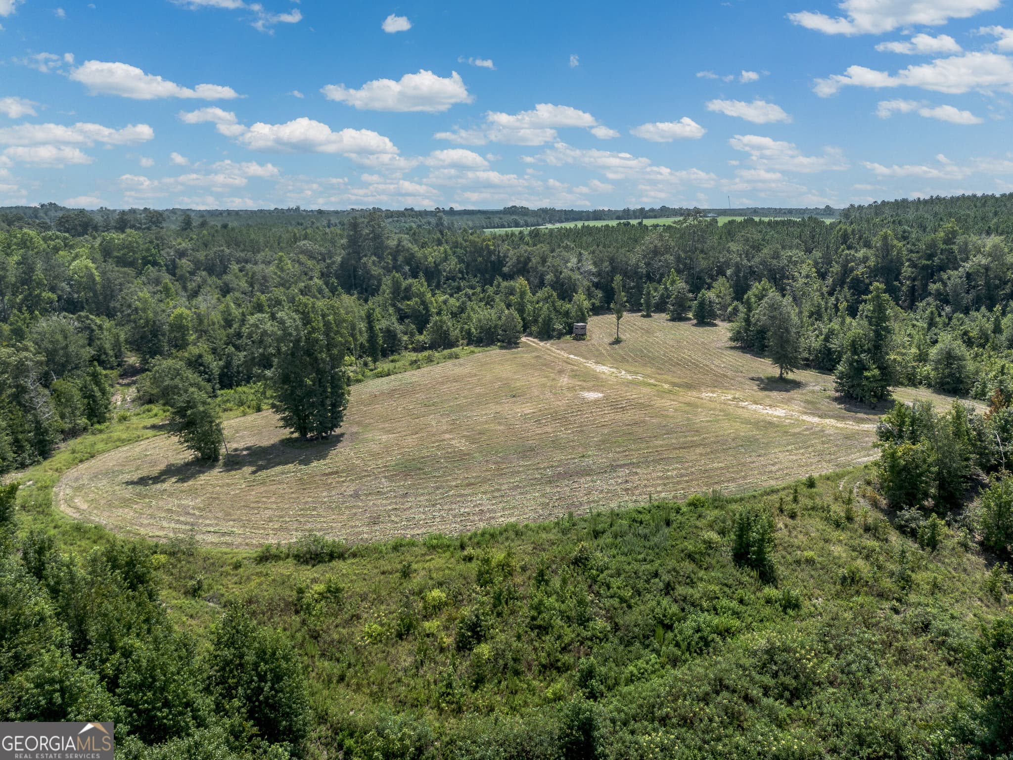 agriculture for sale at 0 Nicholson-Carr Road, Chester, GA 31012 — photo 7