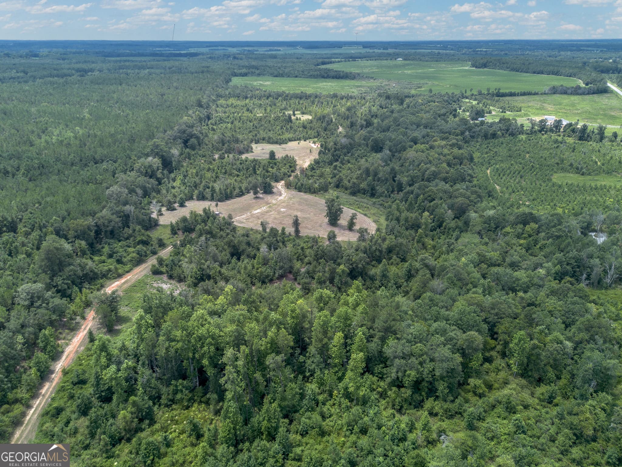 agriculture for sale at 0 Nicholson-Carr Road, Chester, GA 31012 — photo 5