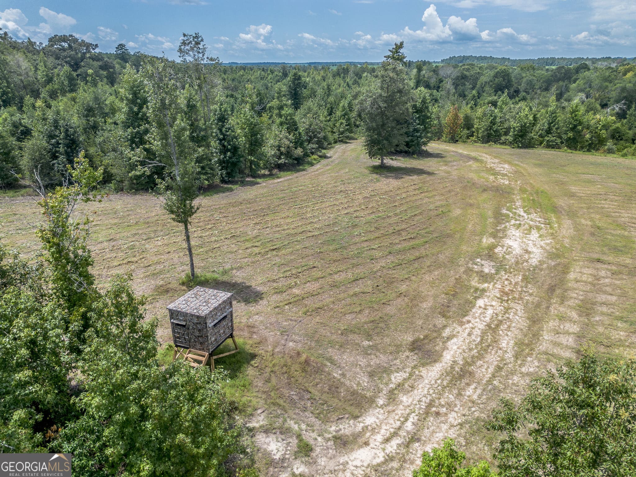 agriculture for sale at 0 Nicholson-Carr Road, Chester, GA 31012 — photo 9