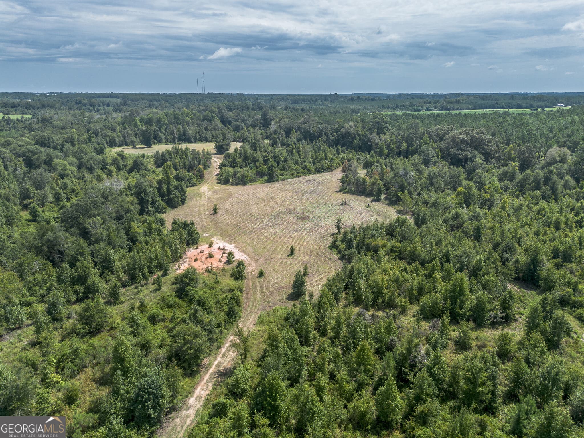 agriculture for sale at 0 Nicholson-Carr Road, Chester, GA 31012 — photo 10