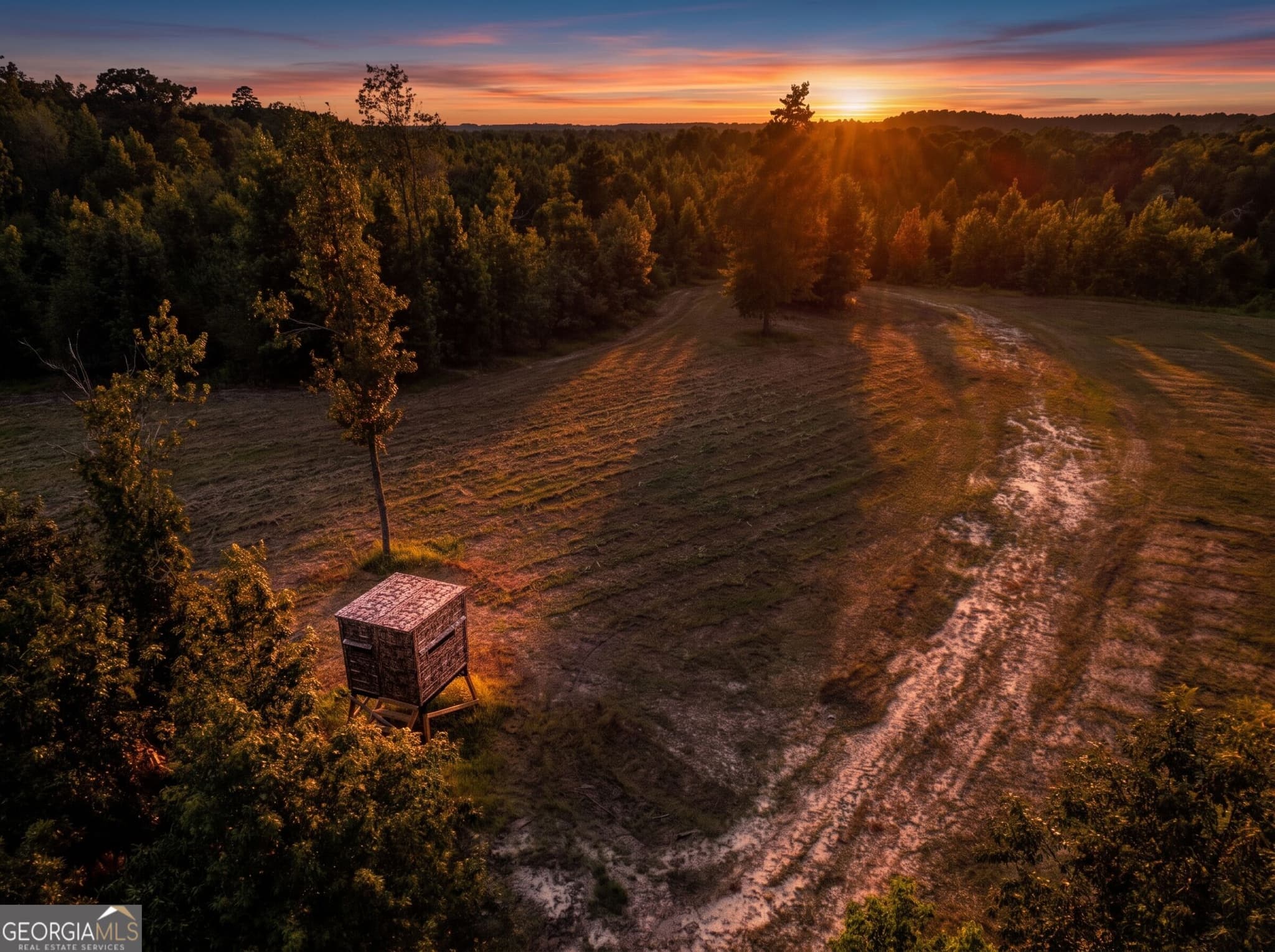 agriculture for sale at 0 Nicholson-Carr Road, Chester, GA 31012 — photo 4