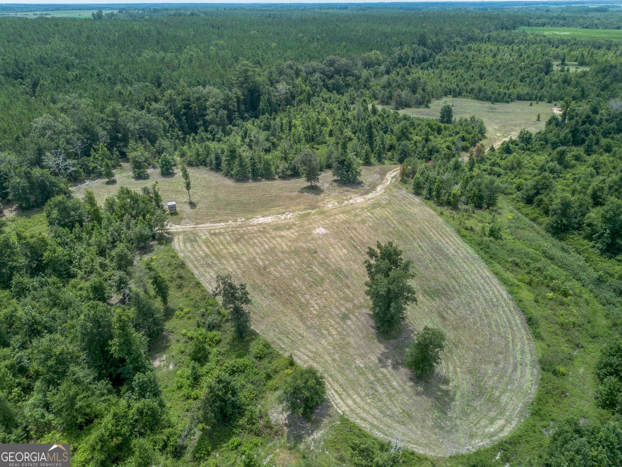agriculture for sale at 0 Nicholson-Carr Road, Chester, GA 31012 — photo 8