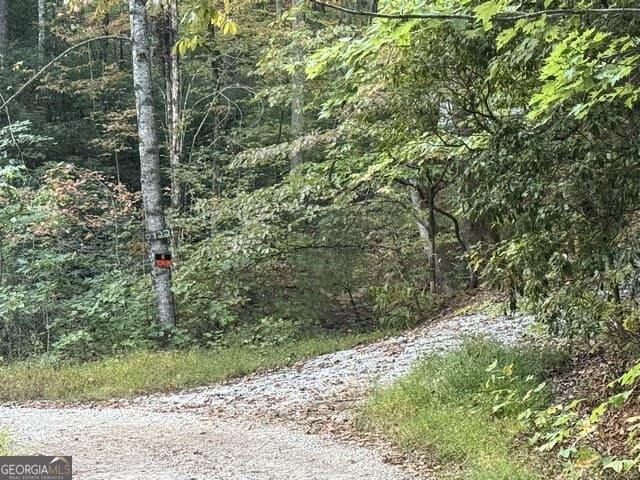 residential lot for sale at 0 Wood Sorrel Lane LOT 727/726, Clayton, GA 30525 — photo 2
