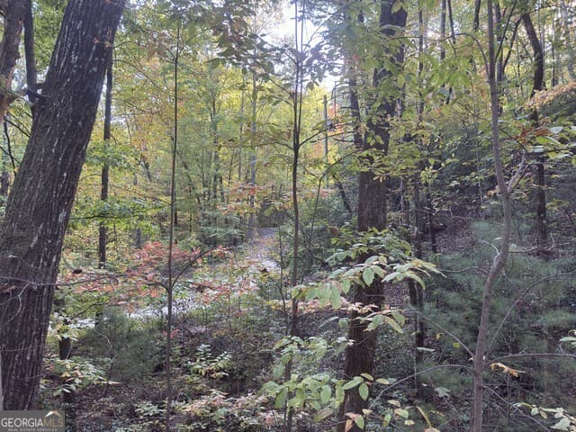 residential lot for sale at 0 Wood Sorrel Lane LOT 727/726, Clayton, GA 30525 — photo 7