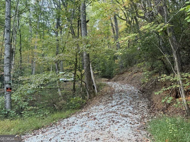 residential lot for sale at 0 Wood Sorrel Lane LOT 727/726, Clayton, GA 30525 — photo 3