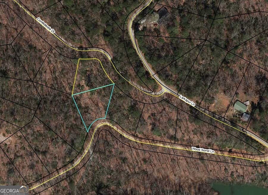 residential lot for sale at 0 Wood Sorrel Lane LOT 727/726, Clayton, GA 30525 — photo 1 of 13
