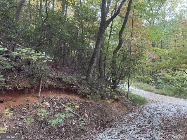 residential lot for sale at 0 Wood Sorrel Lane LOT 727/726, Clayton, GA 30525 — photo 9