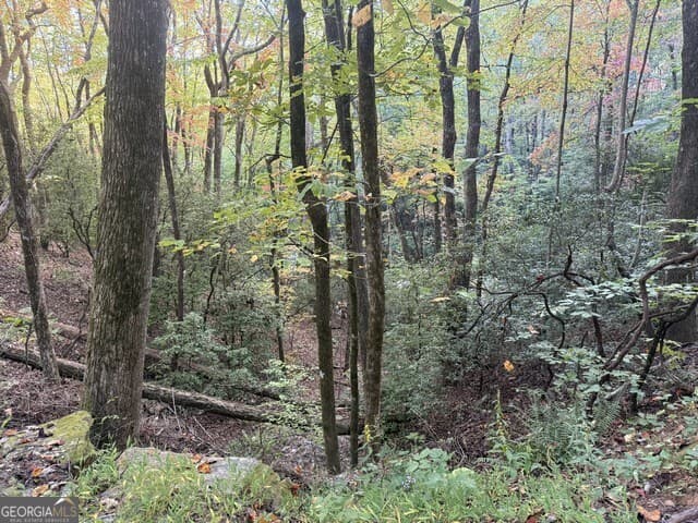 residential lot for sale at 0 Wood Sorrel Lane LOT 727/726, Clayton, GA 30525 — photo 10