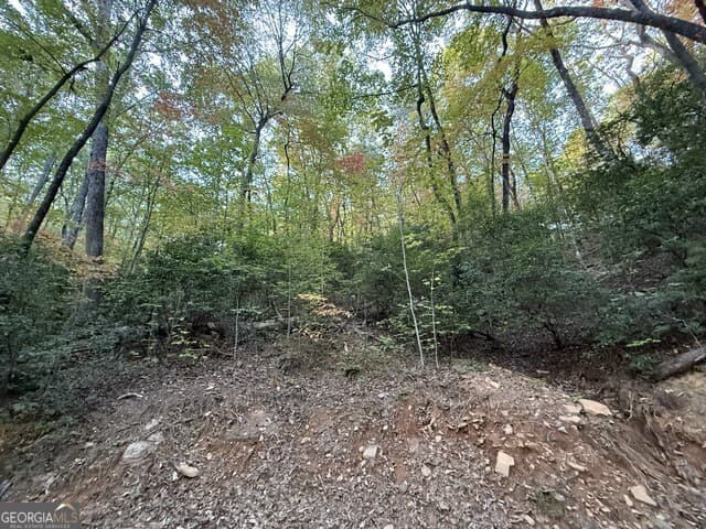 residential lot for sale at 0 Wood Sorrel Lane LOT 727/726, Clayton, GA 30525 — photo 4