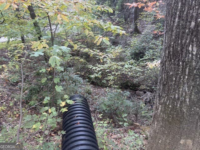 residential lot for sale at 0 Wood Sorrel Lane LOT 727/726, Clayton, GA 30525 — photo 8