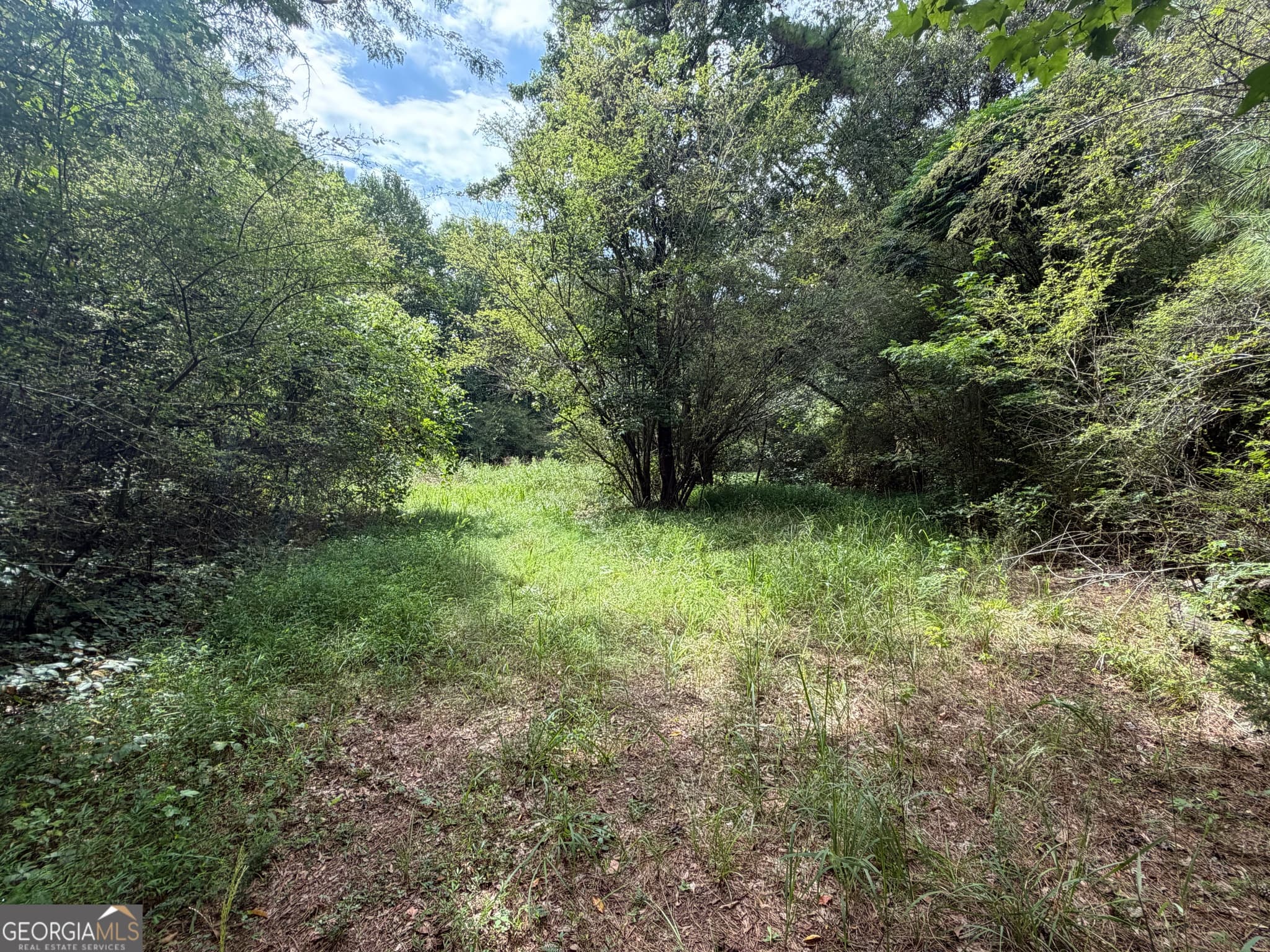 unimproved land for sale at 0 County Road 82, Newell, AL 36280 — photo 2