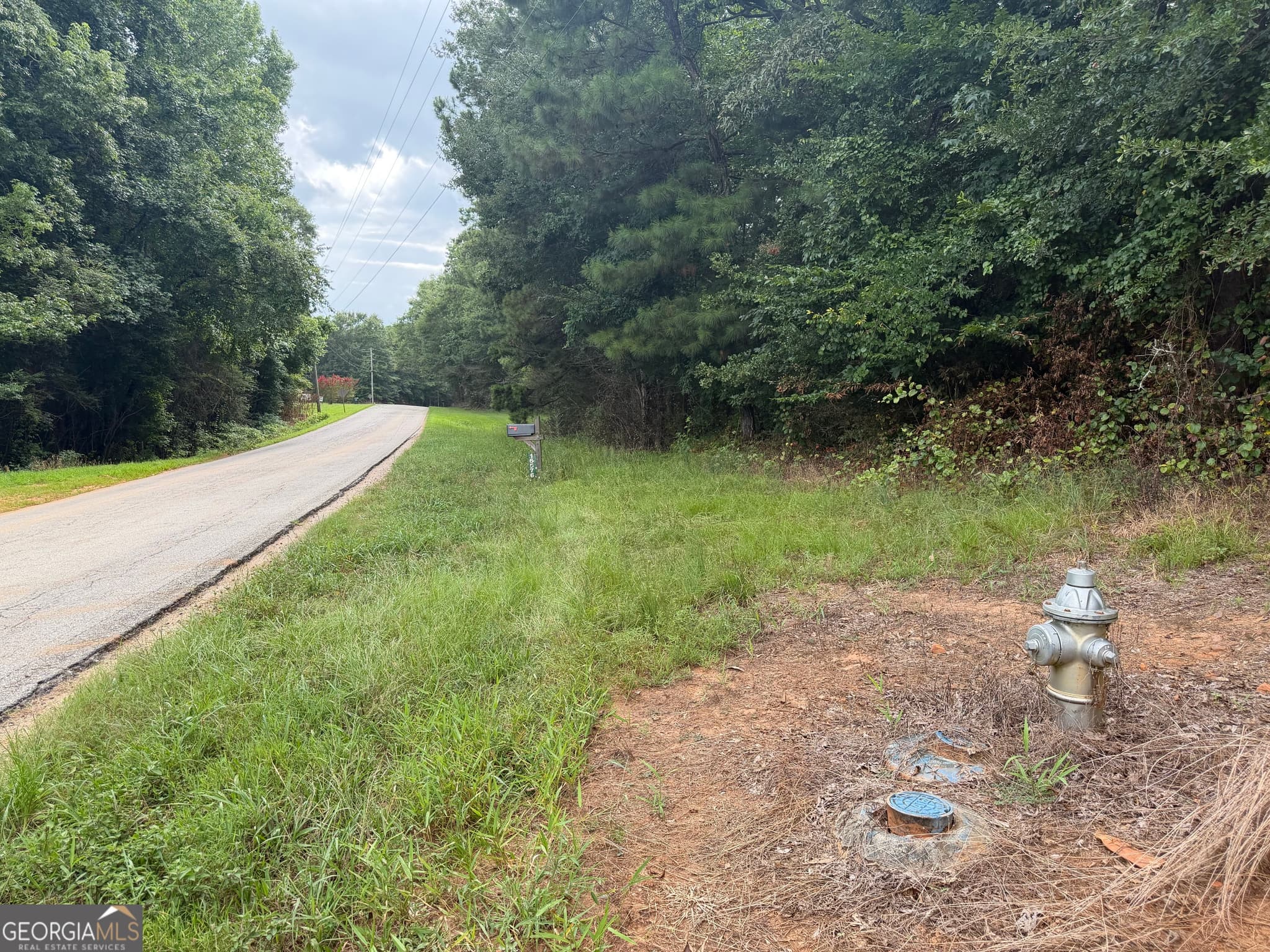 unimproved land for sale at 0 County Road 82, Newell, AL 36280 — photo 6