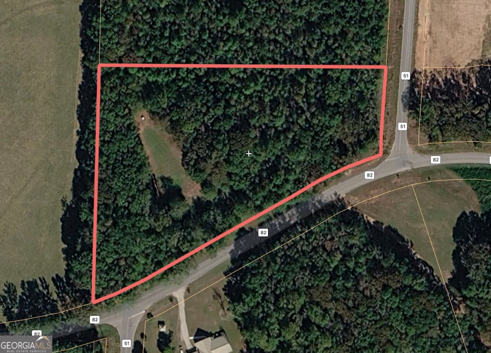 unimproved land for sale at 0 County Road 82, Newell, AL 36280 — photo 7