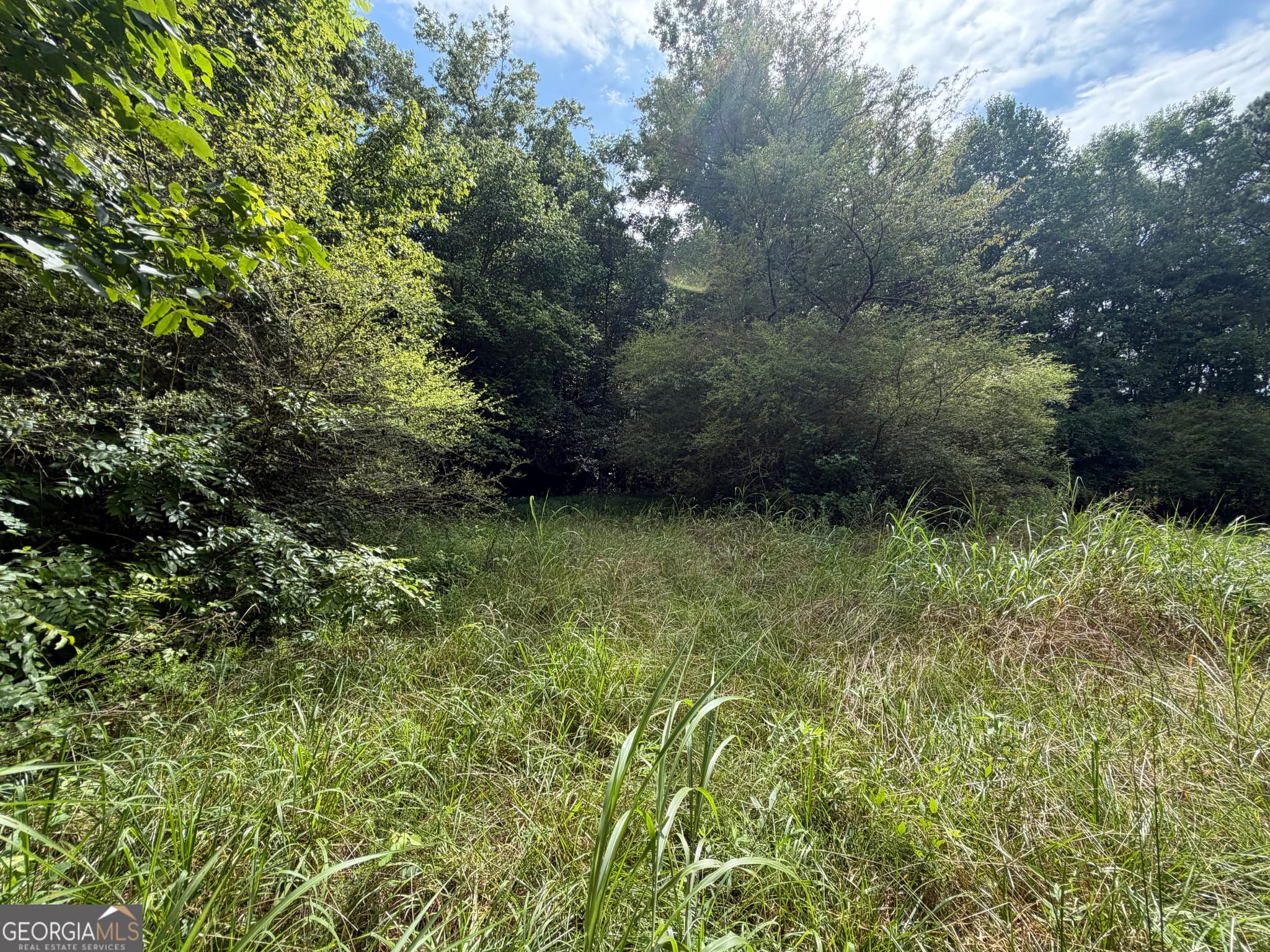unimproved land for sale at 0 County Road 82, Newell, AL 36280 — photo 3
